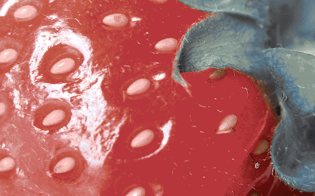 antioxidantes naturales