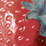 antioxidantes naturales