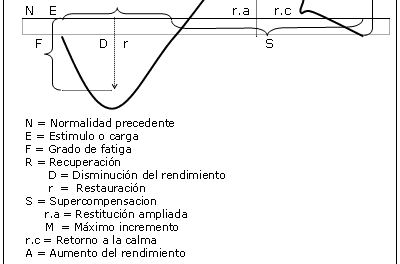 principios de entrenamiento