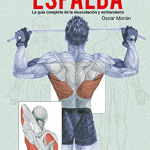 manual de entrenamiento de la espalda