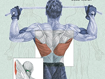 manual de entrenamiento de la espalda