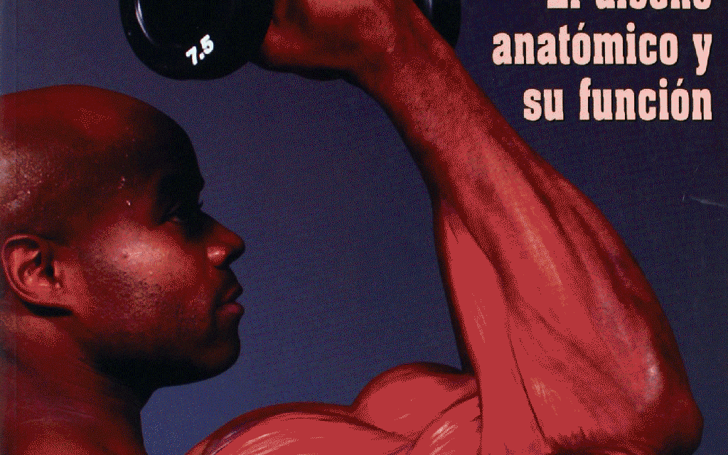 musculación