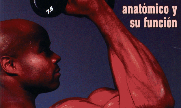 musculación