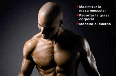 programas de musculación
